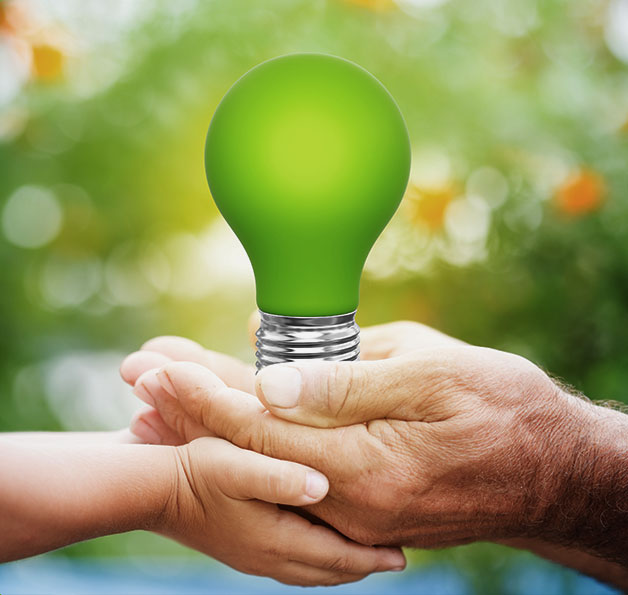 Light Bulb